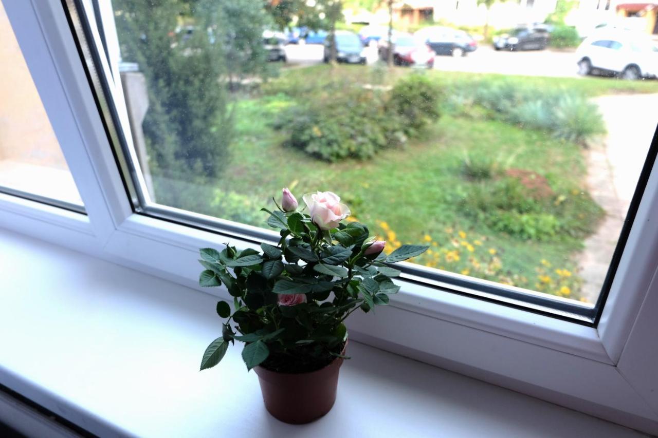 Jaukus Koko Butas 1 Aukste Appartement Kaunas Buitenkant foto